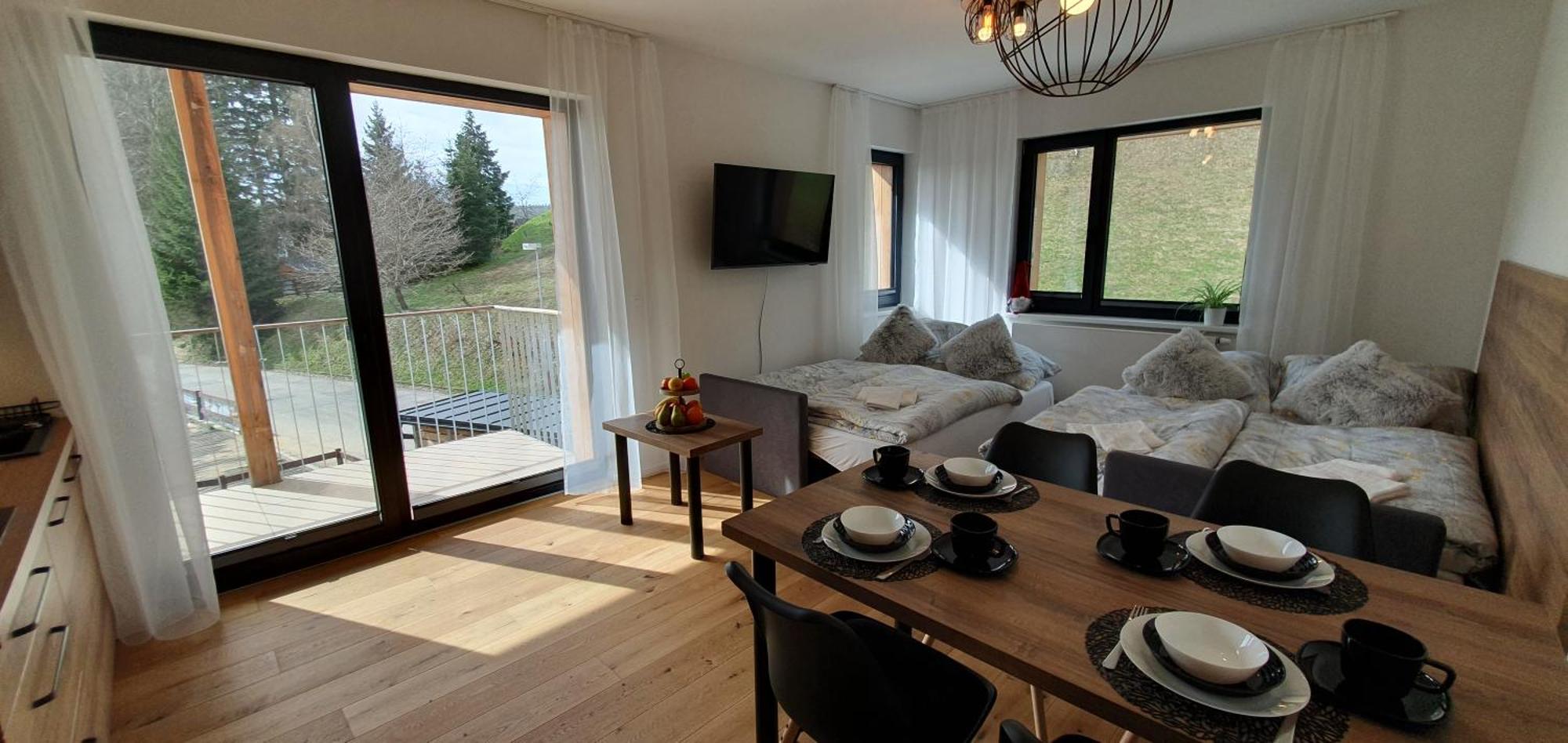 Ski&Bike Apartment Janske Lazne + Parking Kültér fotó